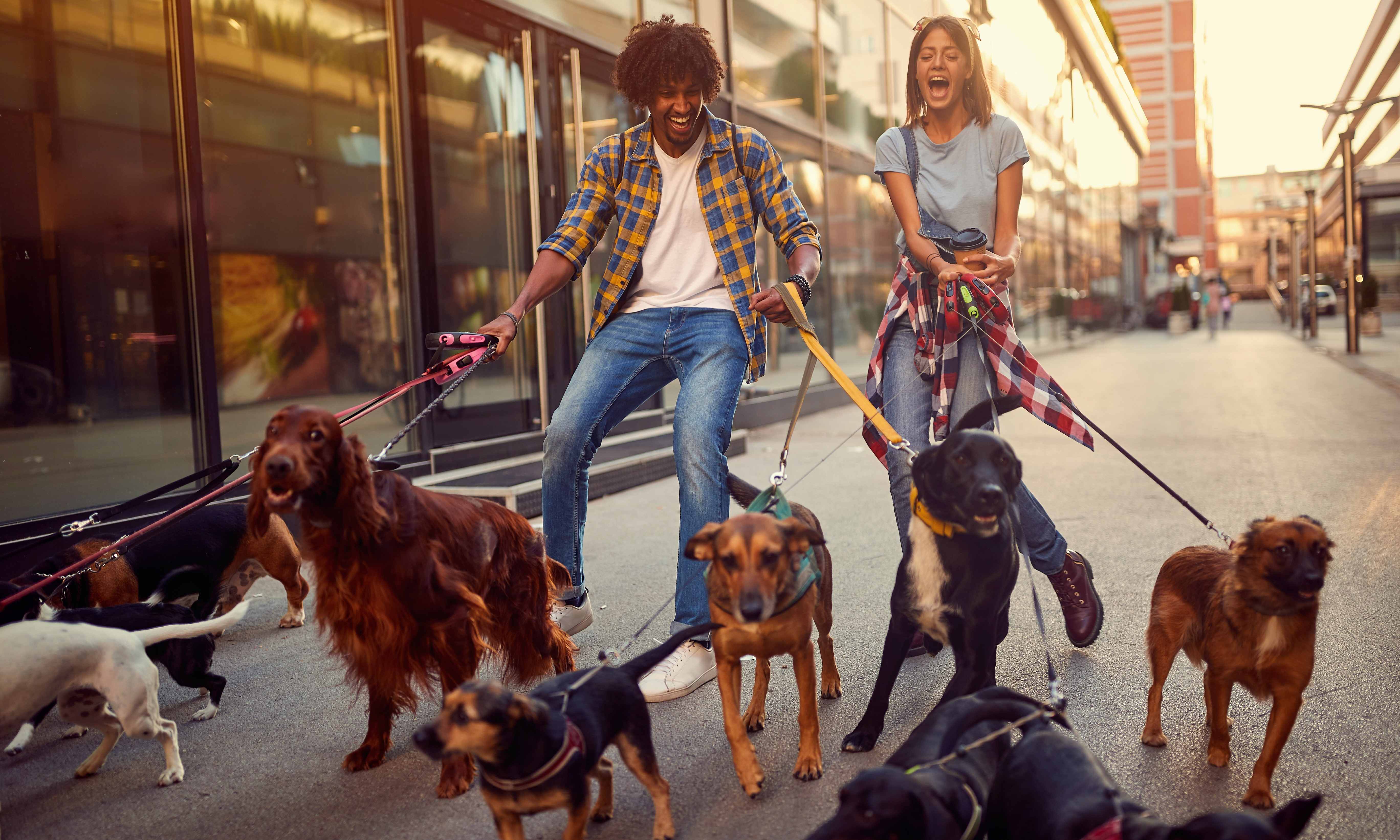 two young people walking dogs as a side hustle for college